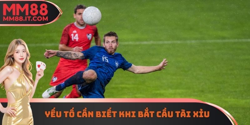 Yếu tố cần biết khi bắt cầu tài xỉu